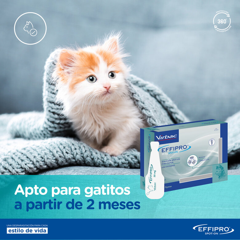 Effipro Pipetas Antiparasitarias para gatos, , large image number null